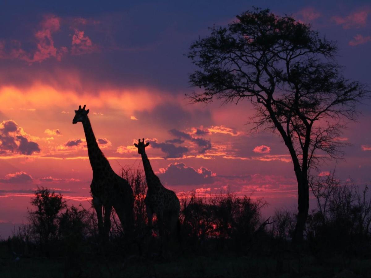 Paradise River Lodge Hoedspruit Eksteriør bilde