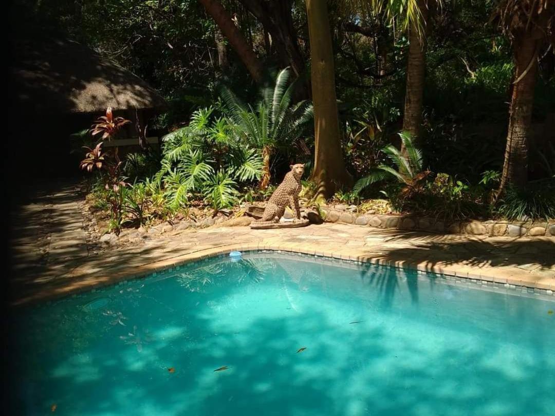 Paradise River Lodge Hoedspruit Eksteriør bilde